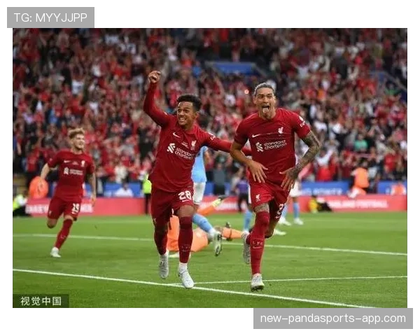 努涅斯爆发潜力解析：终结效率瓶颈与战术适配性制约