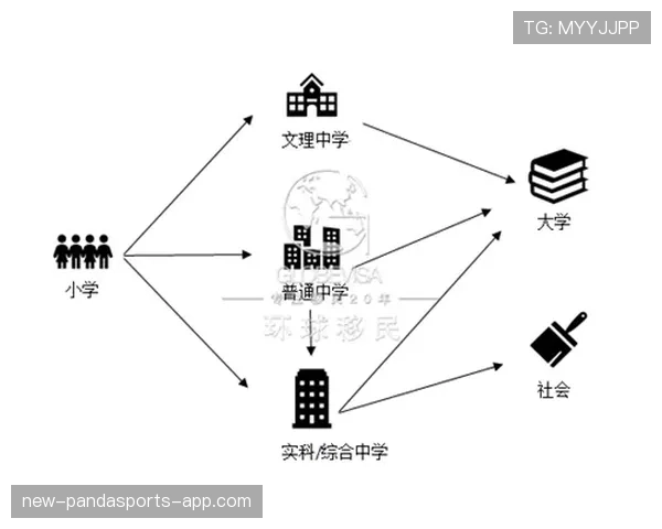 帕尔默与德布劳内：组织创造力与体系适配性的核心差异解析